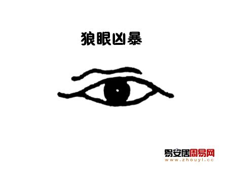 狼眼 面相|狼眼面相圖解